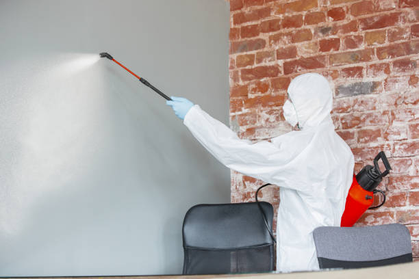 Best Environmental Consulting for Mold Prevention  in USA